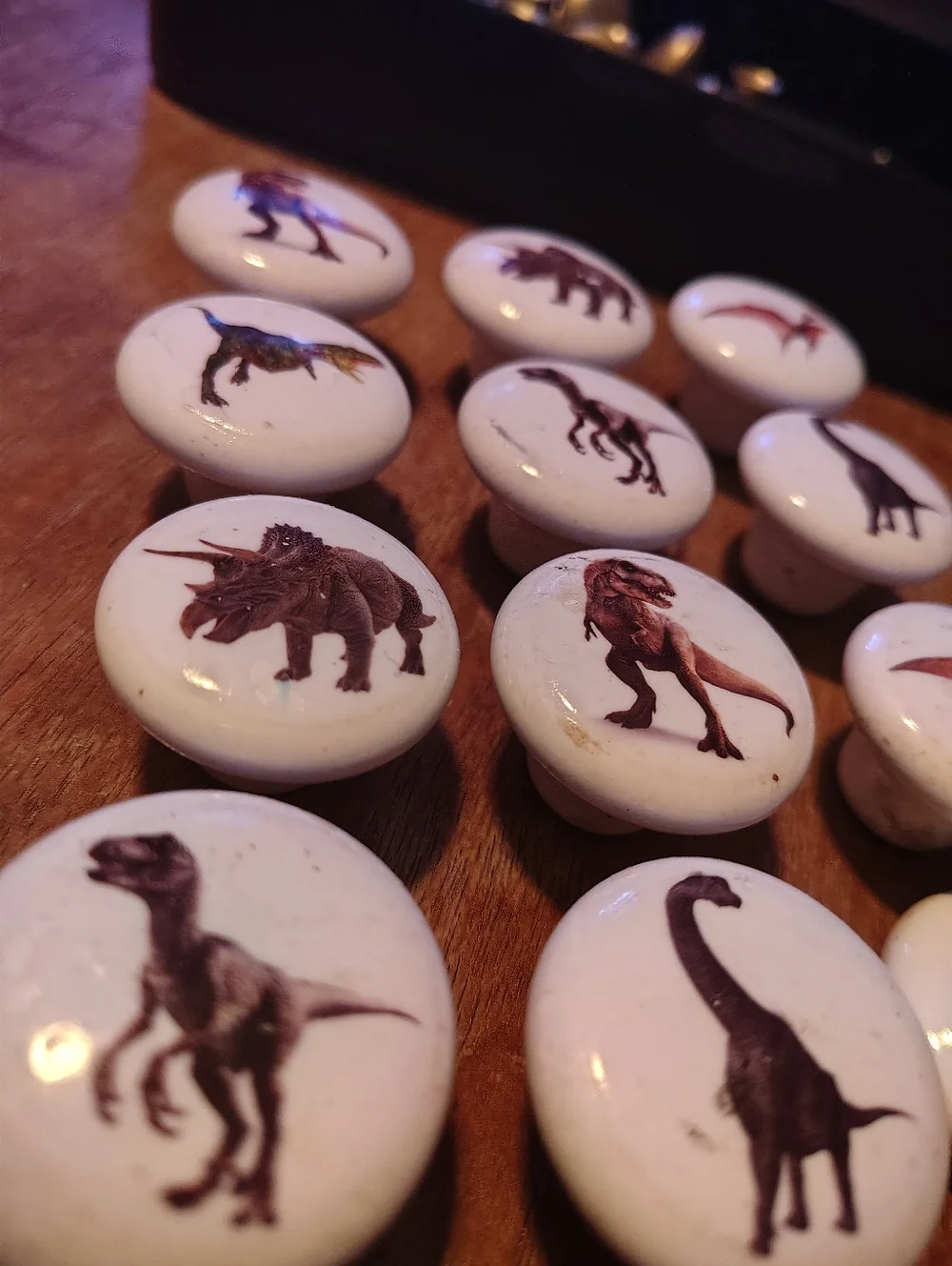 Dinosaur Knobs